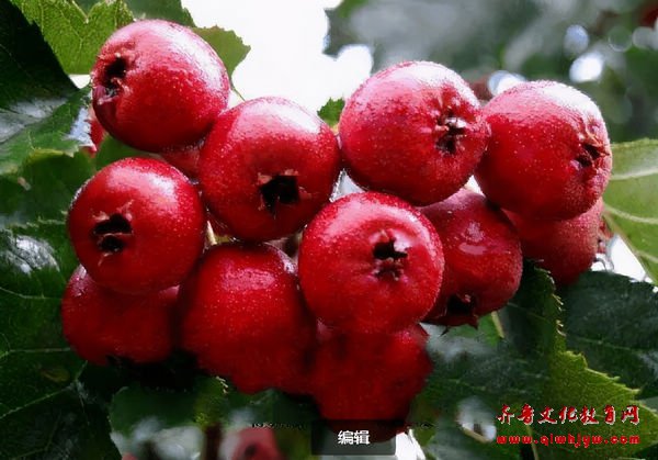 ʥ񣺺ýԴļ